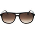 Banana Republic Brown SF Lensed Havana Sunglasses One Size